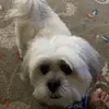 Craig Beesting - @craigbeesting - TikTok