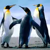 Craig Bennett480 - @craigbennett480 - TikTok