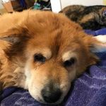 Nancy Jo Craig Blevins - @nancyblevins61 - Instagram