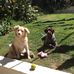 Craig Bloom - Facebook