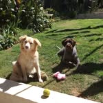 Craig Bloom - @fleetsparker - Instagram
