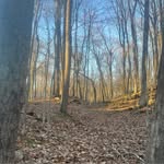 Craig Bloomquist - @bloomquistcraig - Instagram