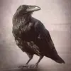 Craig Boone - @craig.boone - TikTok