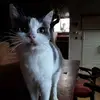 Craig Bostock - @craig.bostock - TikTok
