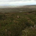 craig bower - @wentworthcraig2015 - Instagram