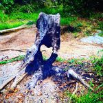 Craig Bowles - @split_line_photography - Instagram