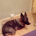 Craig Bray - @craig.bray.980 - Instagram