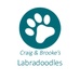 Craig &amp; Brooke's Labradoodles - Facebook