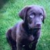 Craig Brookes - Facebook