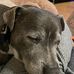 Craig Browning - Facebook