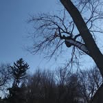 Craig Browning - @craigbrowning59 - Instagram
