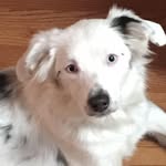 Craig Bunch - @craig.bunch.75 - Instagram