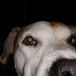 Craig Burden - @craig.burden.39 - Instagram
