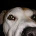 Craig Burden - Facebook