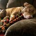 Craig Burrows - Facebook