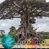 Capri Garcia - @capri.garcia7 - TikTok