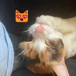 Craig Carl Howlett - @craigcarlhowlett - Instagram