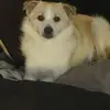 craigcarney729 - @craigcarney729 - TikTok