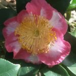 Craig Carroll - @craig.carroll.56232 - Instagram