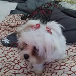 mary melissa craig carver - @mkconfused61 - Instagram