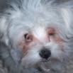 Lisa-craig Pittman Casdorph - Facebook