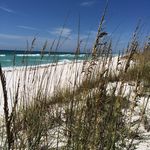 Craig Chenevert - @craigchenevert - Instagram