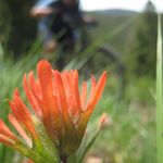 Craig Comstock - @cmotocom - Instagram