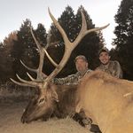 Craig Cooper - @craig_cooper_54 - Instagram