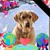 Craig Cramer - Facebook
