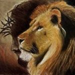 Craig Cramer - @craig.cramer - Instagram