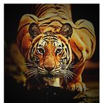 Craig Cramer - @craigcramer4 - Instagram
