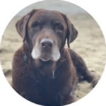 Craig Crowley - @ceremap372 - Instagram