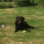 Craig crowley - @craig_crowley - Instagram