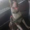 craigdalton387 - @craig.dalton94 - TikTok