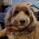 Craig Danielson - @craig.danielson.50 - Instagram