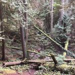 Craig Dickey - @craigdickey - Instagram