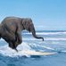 Craig Dobbs - Facebook
