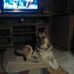 Craig Dobbs - Facebook