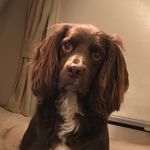 Craig Dobson - @craig.dobson.986 - Instagram