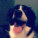 Craig Dowling - @lulus_human - Instagram