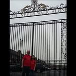Craig Dowling - @craigdowlingynwa - Instagram