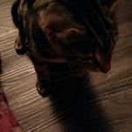 Craig Downey - @craigdowney - Instagram