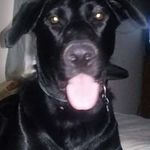 Craig Downey - @craig.downey.5203 - Instagram