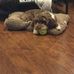 Craig Dutton - Facebook
