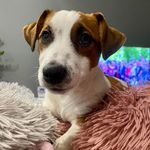 Craig Dwyer - @cmd4474 - Instagram