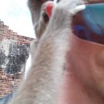 craig dyer - @dyer1962 - Instagram
