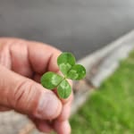 Craig Ebert - @ebertcraig - Instagram