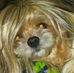 Craig Eby - Facebook