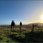 Craig Eccleston-Todd - @craigecclestontodd - Instagram