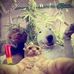 Craig Eden - Facebook